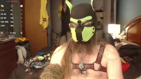 kinkywolf87 online show from 06.22.26