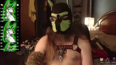 kinkywolf87 online show from 07.02.26