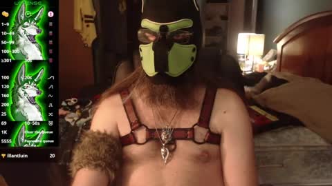 kinkywolf87 online show from 07.03.26