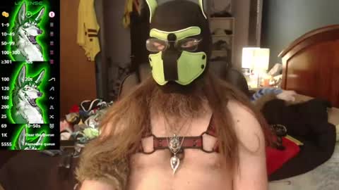 kinkywolf87 online show from 07.05.26
