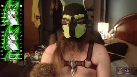 kinkywolf87 online show from 07.06.26