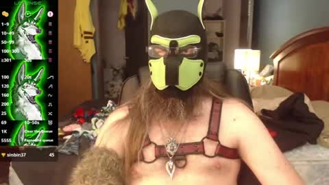kinkywolf87 online show from 07.08.26