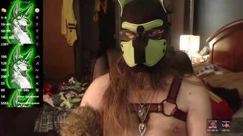 kinkywolf87 online show from 07.10.26