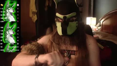 kinkywolf87 online show from 07.12.26