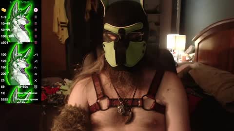 kinkywolf87 online show from 07.18.26