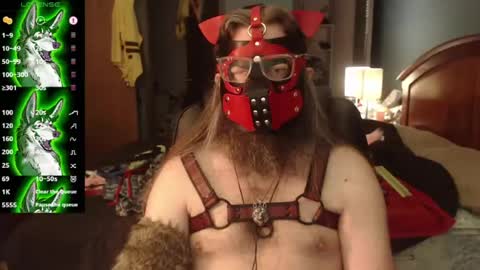 kinkywolf87 online show from 07.22.26