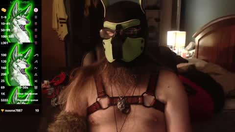 kinkywolf87 online show from 07.24.26