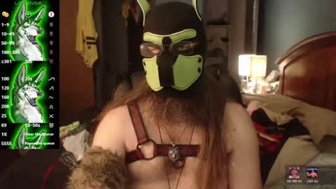 kinkywolf87 online show from 07.27.26