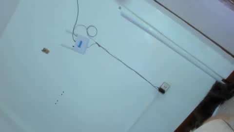 Grace online show from 02.25.25