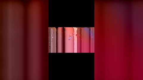 Snapshot of kittypurrrrry chatting on 03.02.26 kittypurrrrry online show from 03.02.26