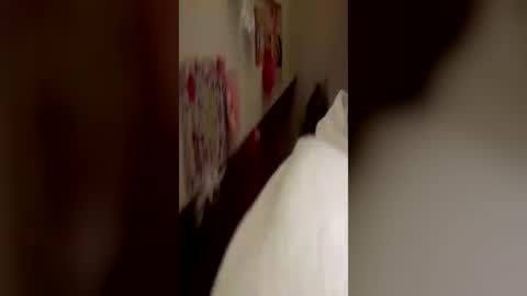 Kitty  Sophie    online show from 06.24.26