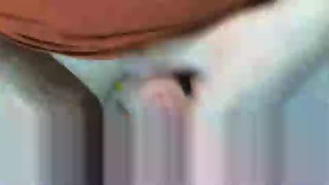 klok8230 online show from 02.15.26