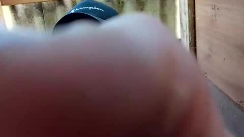 kocsispista03 online show from 04.25.26