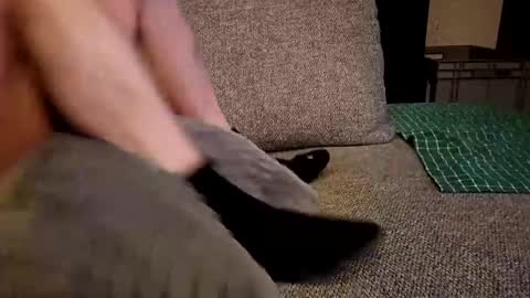 Snapshot of koelie1982 chatting on 12.19.24 koelie1982 online show from 12.19.24