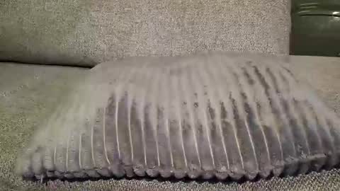 Snapshot of koelie1982 chatting on 01.22.25 koelie1982 online show from 01.22.25