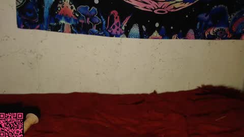 Snapshot of konekokawai chatting on 02.13.25 konekokawai online show from 02.13.25