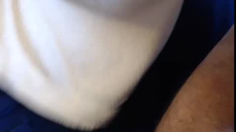 Konrad online show from 03.06.25