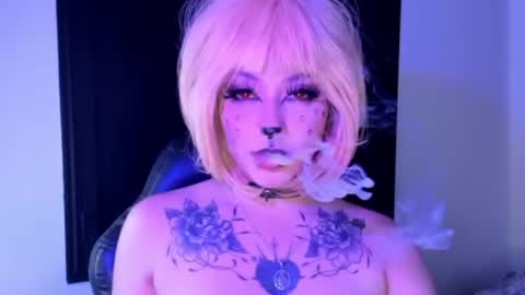 Kora Red online show from 07.11.26