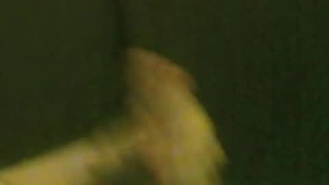 Snapshot of kren565656 chatting on 09.21.25 kren565656 online show from 09.21.25