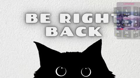   online show from 02.19.26