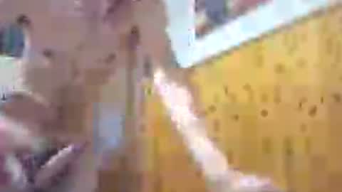 krone1969 online show from 08.08.26