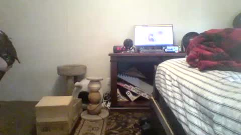 krystalizedkitsune online show from 07.20.26
