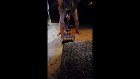 krystltymeup online show from 03.11.26