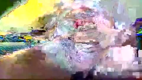 kumtimer online show from 06.08.26