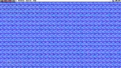 Krypto hethey online show from 10.31.25