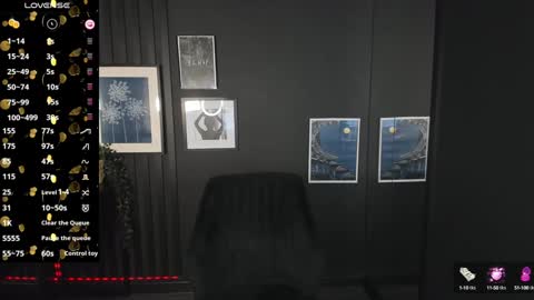 Snapshot of kylie_mellow chatting on 01.24.25 Kylie online show from 01.24.25