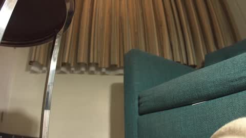 Snapshot of lacub chatting on 02.19.25 lacub online show from 02.19.25