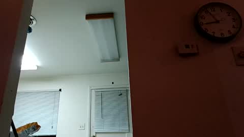 lacybell online show from 01.14.25