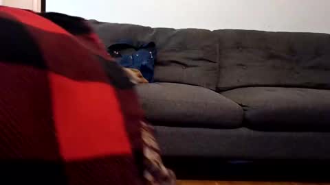 lacybell online show from 02.07.25