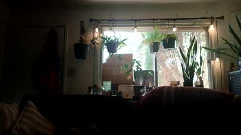 lacybell online show from 09.21.25