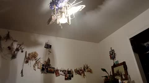 lacybell online show from 10.09.25