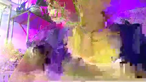 Lady Gloria online show from 01.07.26