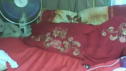 Snapshot of ladyxsnakes chatting on 01.21.25 LadyXSnakes online show from 01.21.25