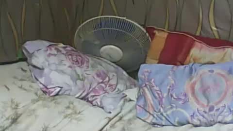 Snapshot of ladyxsnakes chatting on 02.07.25 LadyXSnakes online show from 02.07.25