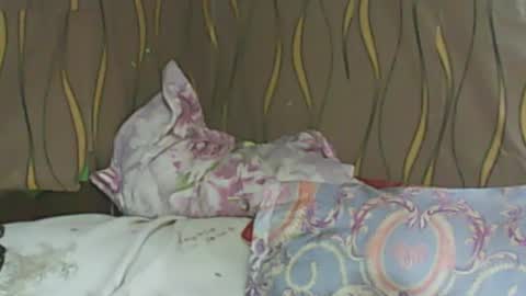 Snapshot of ladyxsnakes chatting on 02.11.25 LadyXSnakes online show from 02.11.25