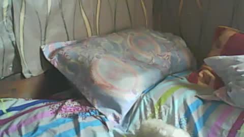 Snapshot of ladyxsnakes chatting on 02.19.25 LadyXSnakes online show from 02.19.25