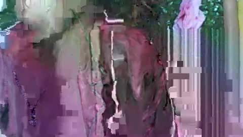 Snapshot of ladyxsnakes chatting on 09.21.25 LadyXSnakes online show from 09.21.25