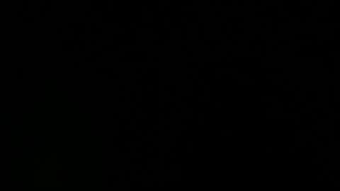 MANIKA online show from 10.04.25