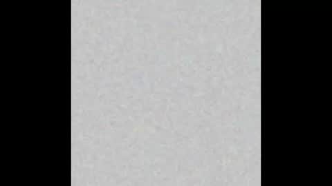 Snapshot of lahurent_weed420 chatting on 11.12.25 paola and a guest lol online show from 11.12.25