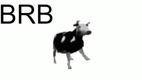 just call me Lana  and her security online show from 01.23.25