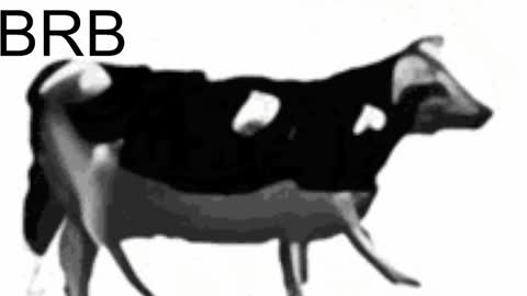 just call me Lana  and her security online show from 02.06.25