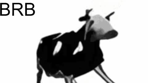 just call me Lana  and her security online show from 02.15.25