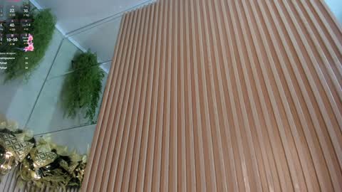 lana_lann online show from 12.28.24