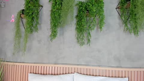 lana_lann online show from 01.27.25