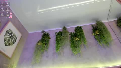 lana_lann online show from 02.27.25