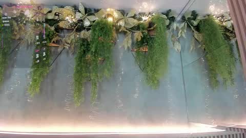 lana_lann online show from 12.03.25